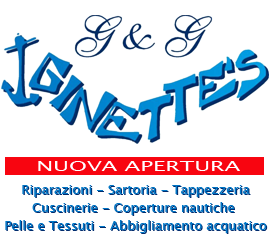Logo Falco Assistance